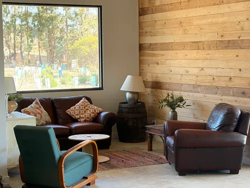 Sitting area with leather armchairs and a window onto the gum trees