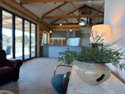 Lounge area with open bifold doors, native planter and exposed timber roof trusses