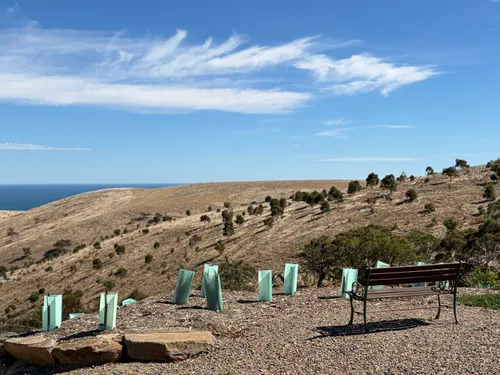 Bench seat on the clifftop overlooking the ocean and hillside revegetation