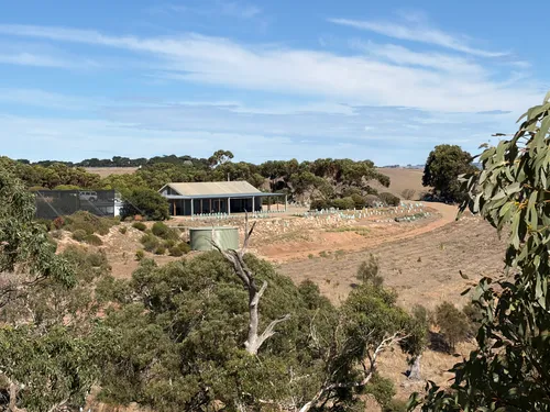 The shearing shed viewed from across the garden through eucalyptus trees