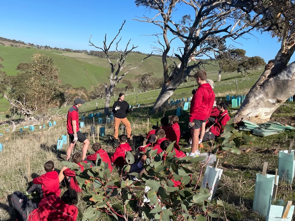 Students on a revegetation slope at The Forktree Project