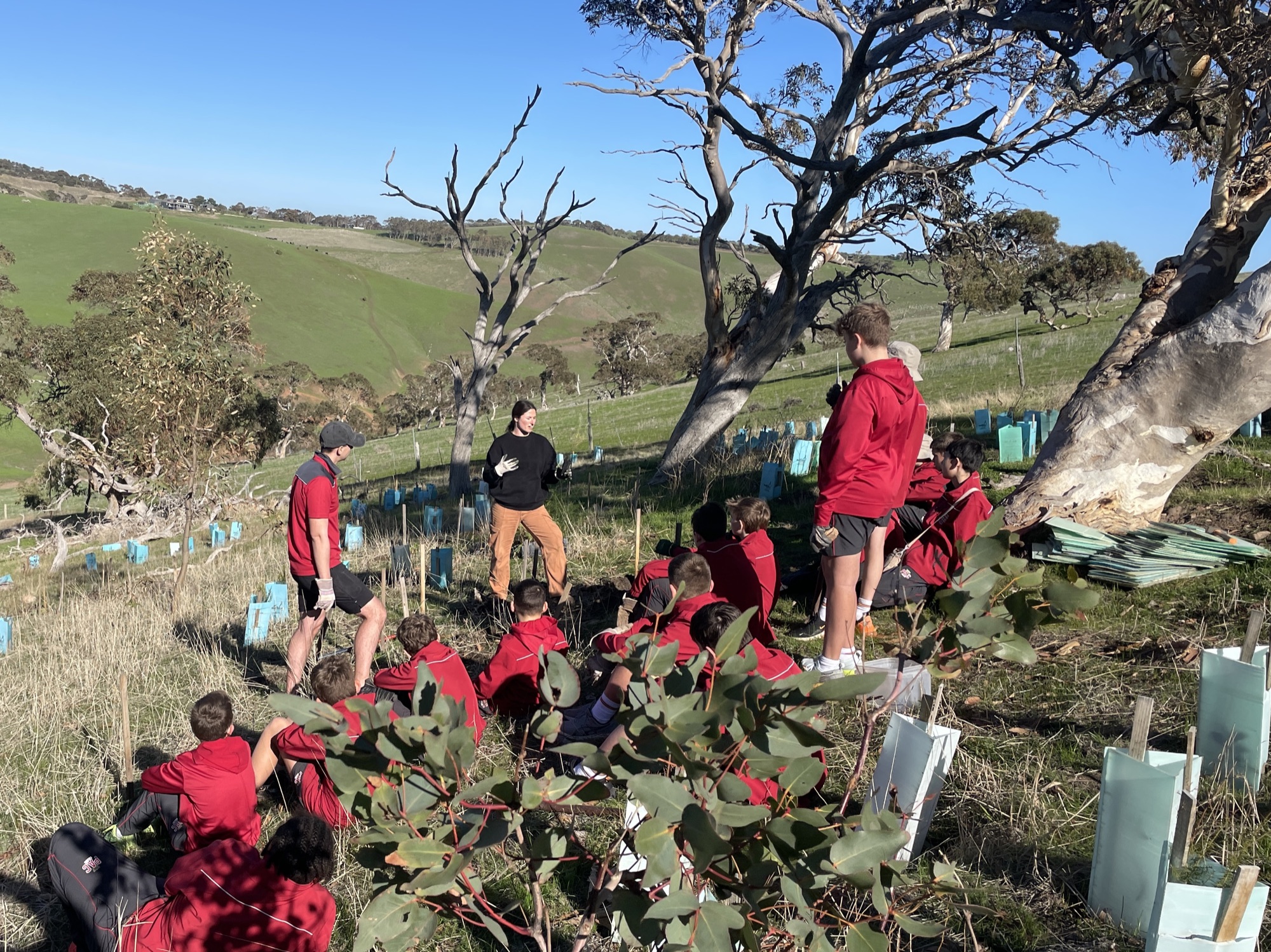 Students on a revegetation slope at The Forktree Project
