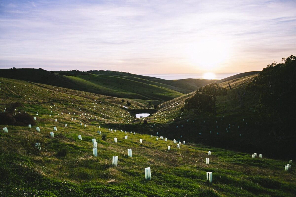 BEACONS OF HOPE
