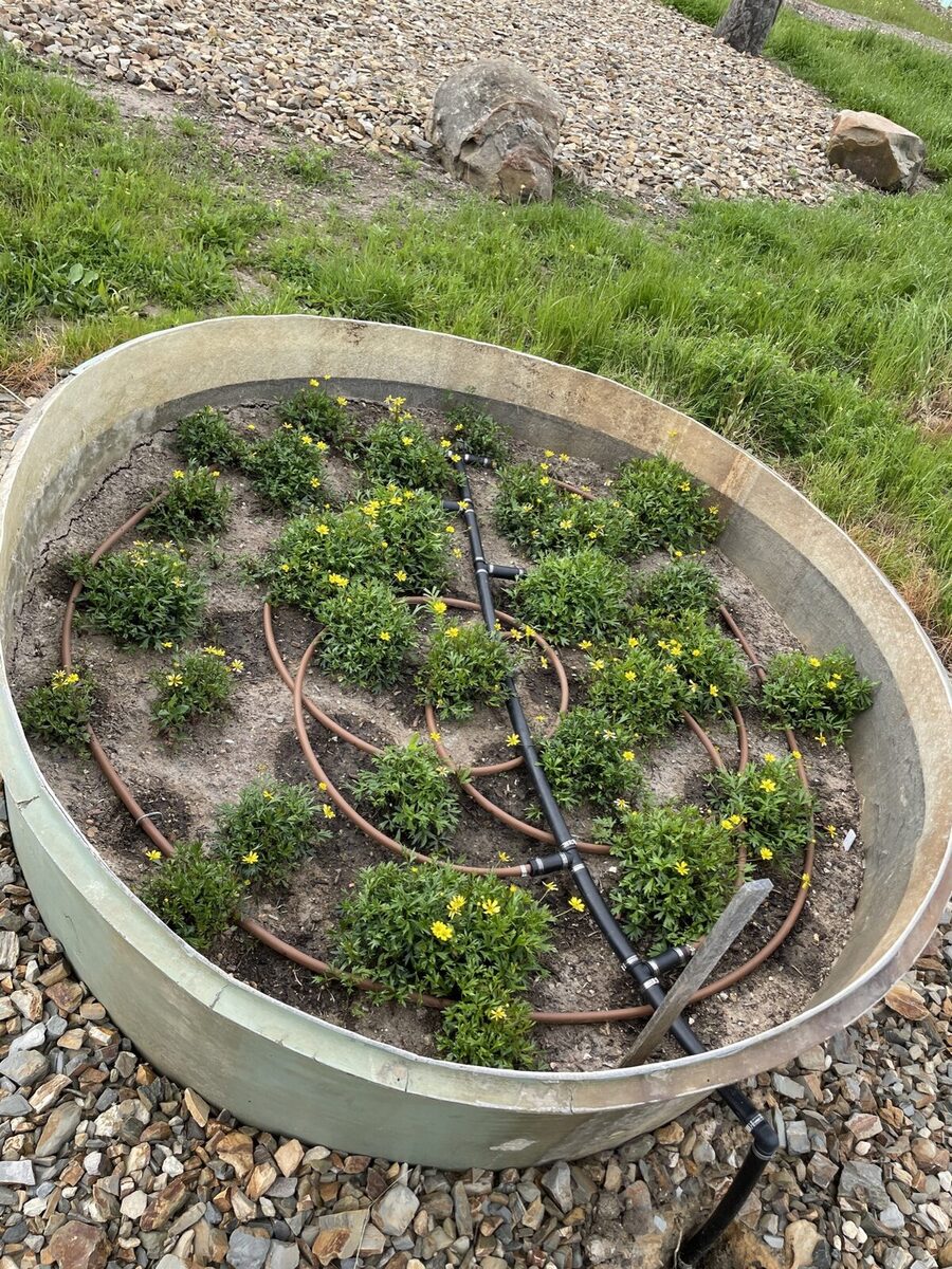 creative design - from tanks to beds