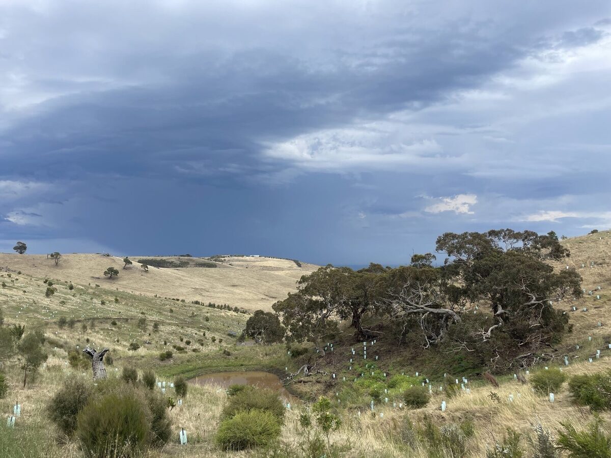"Ecological Makeover" - Yankalilla regional news