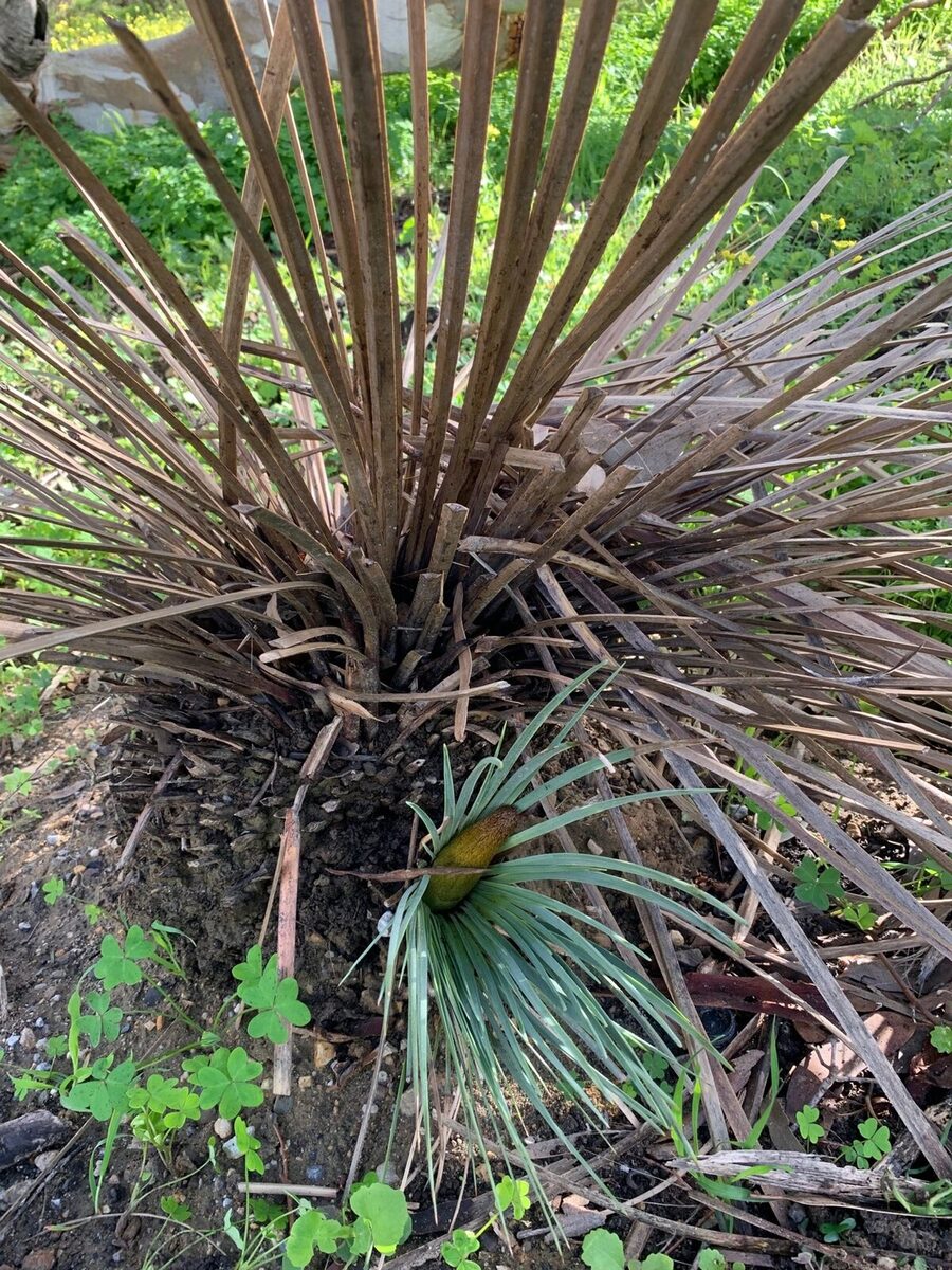 From big things little things grow