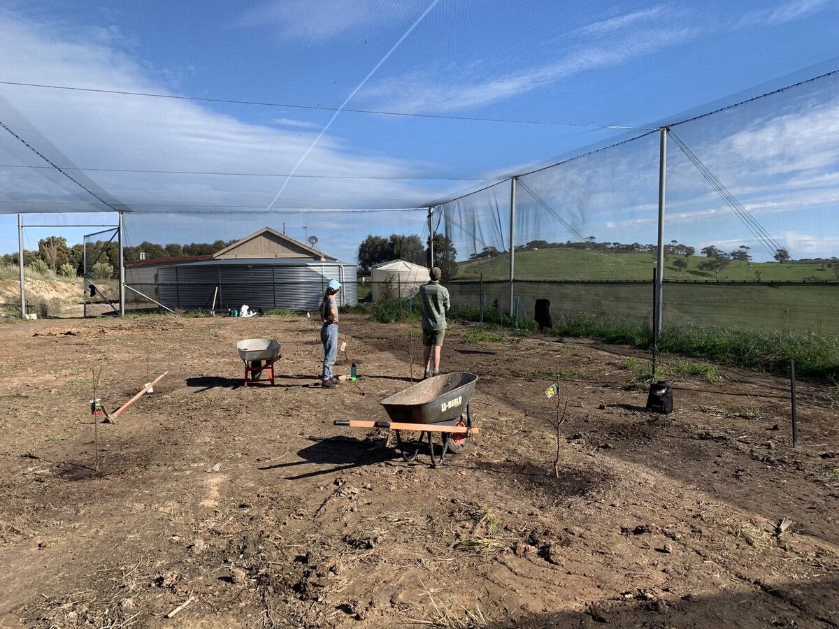 NURSERY TAKING SHAPE