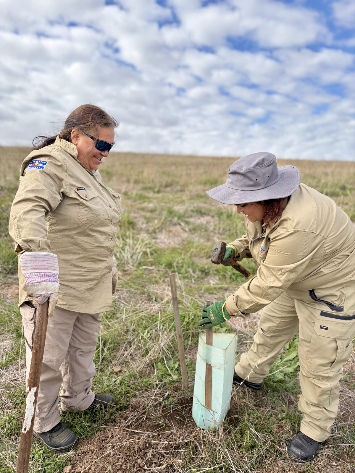 Two team members installing a tree guard around a newly planted native sapling.