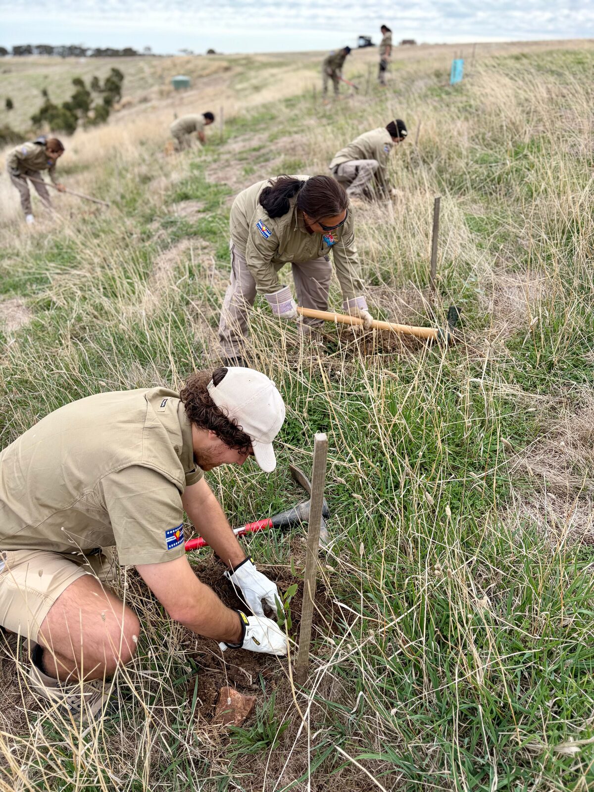 The team planting native species along a Forktree hillside.