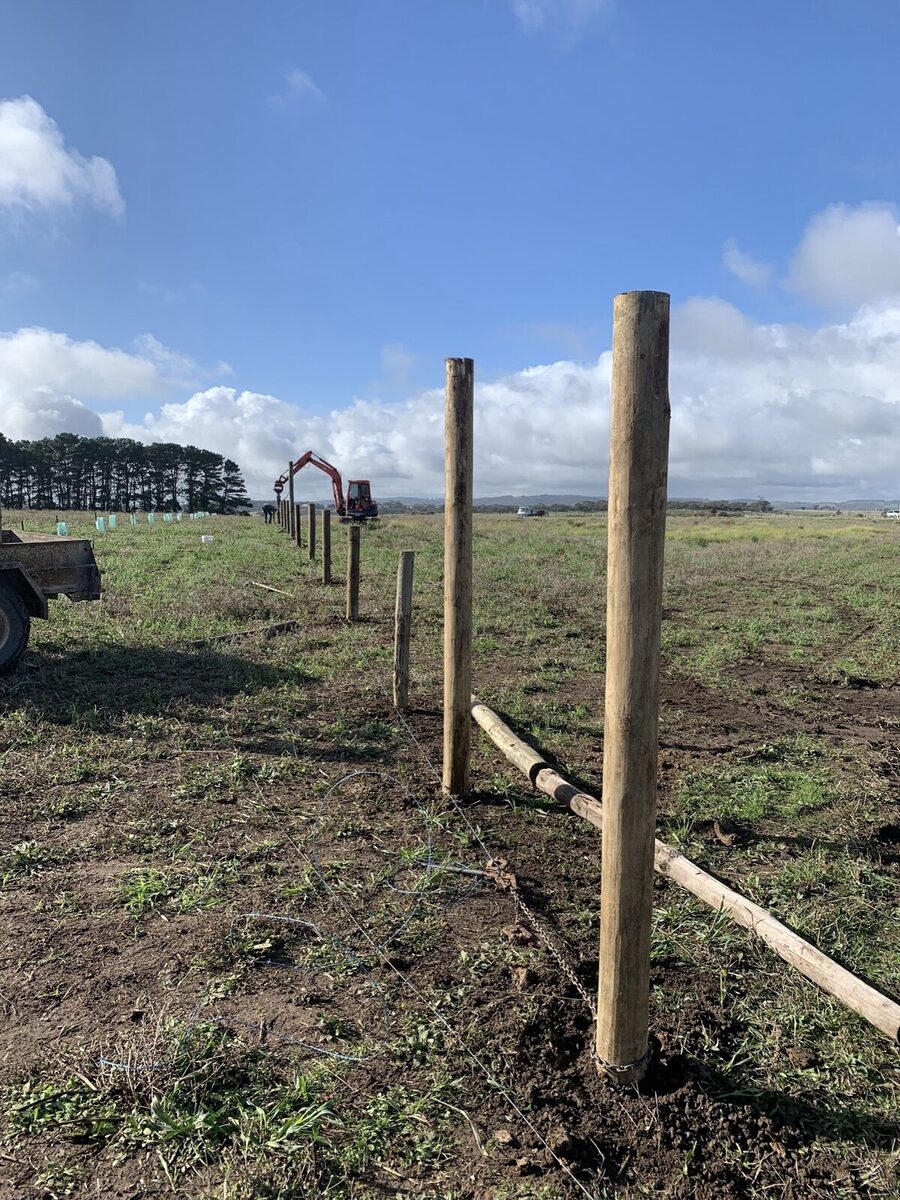 Seed orchard set up
