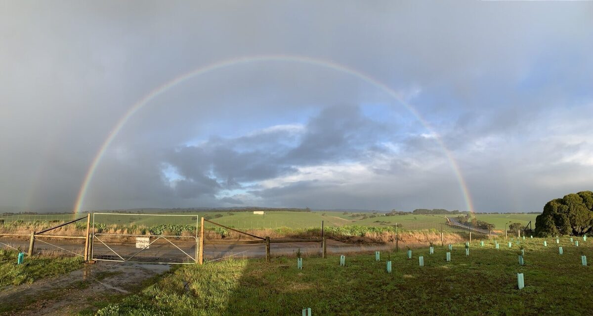 Rainbow magic returns