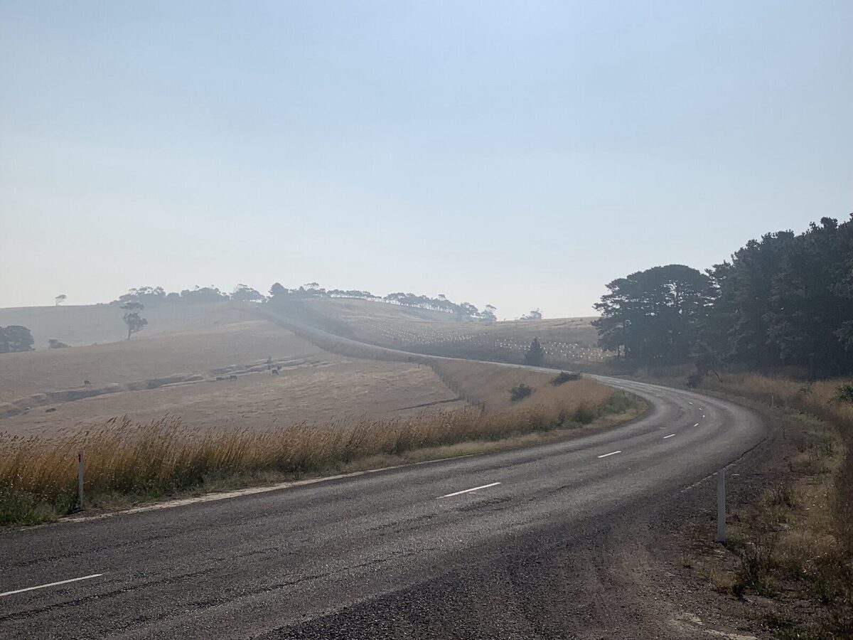 REFLECTIONS ON THE BUSHFIRES