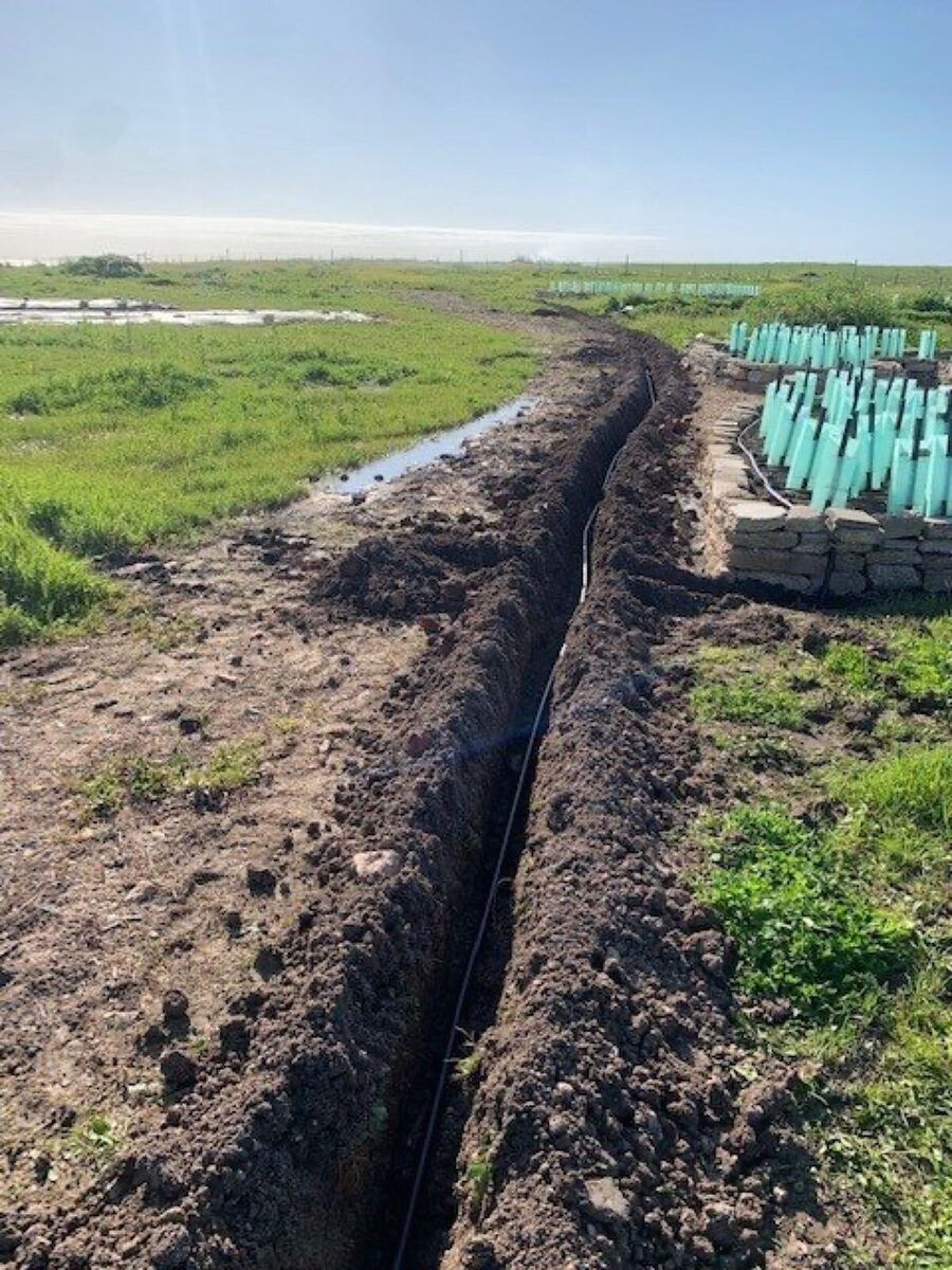 Seed orchard reticulation