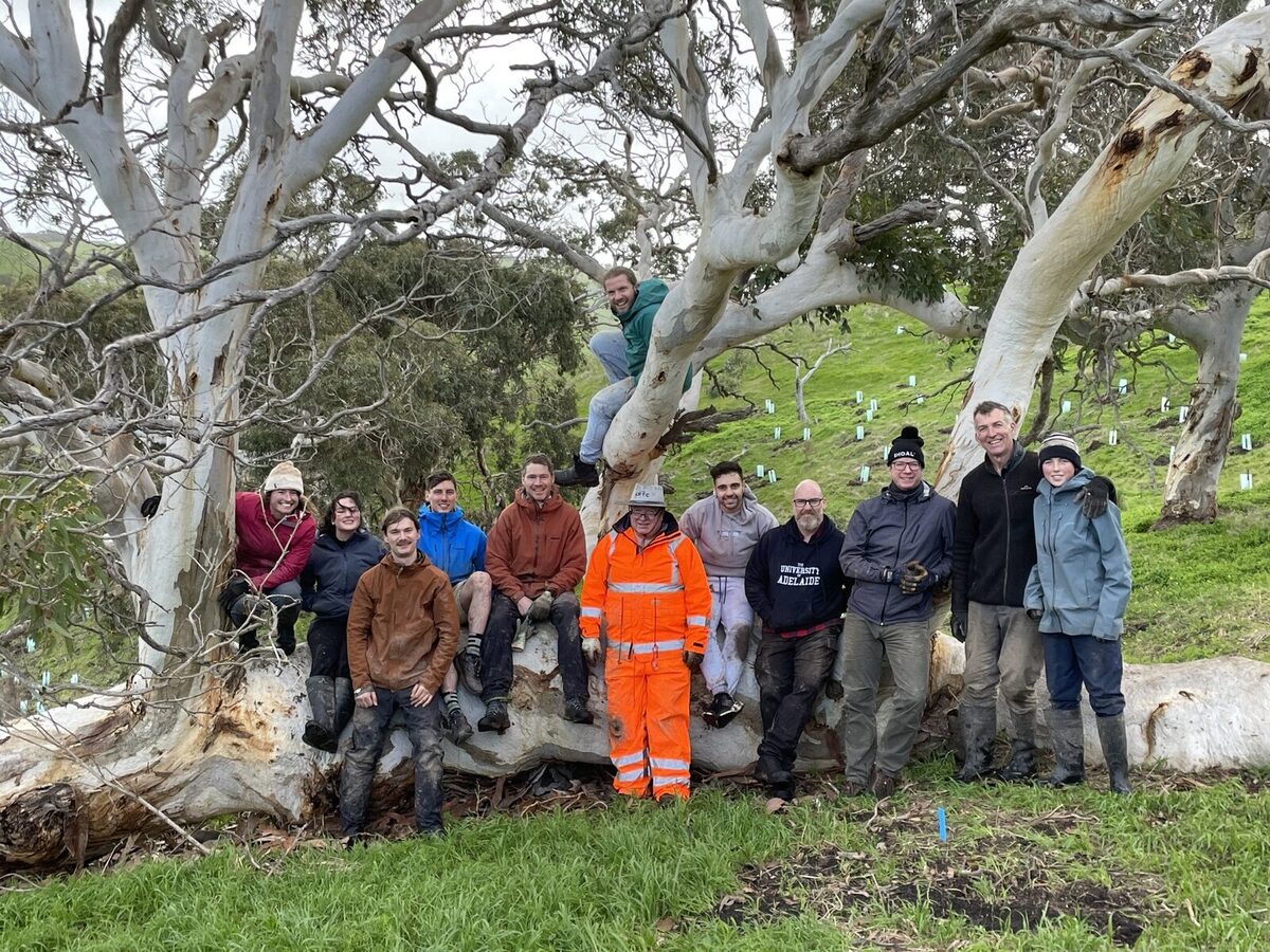 SYSTEMS Thinking at The forktree project