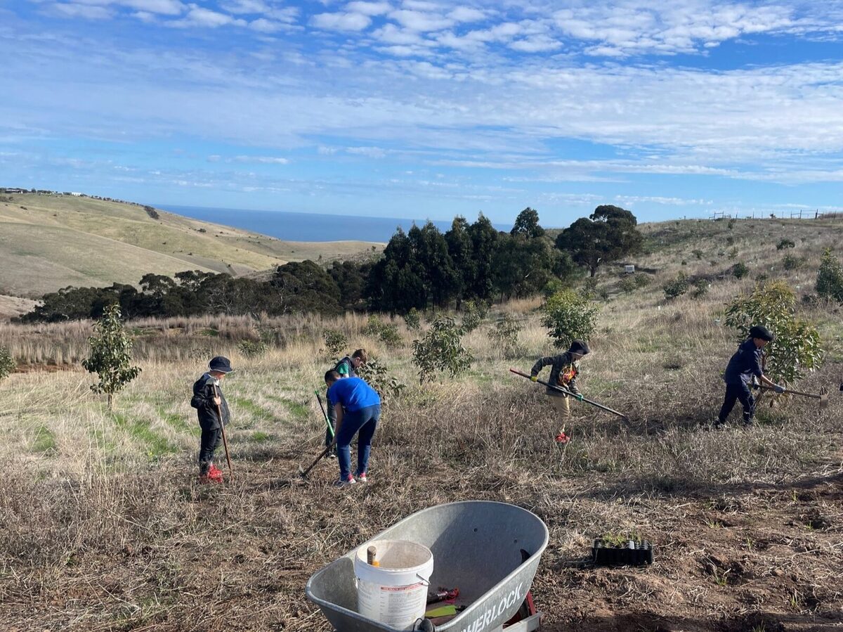 school planting season round up