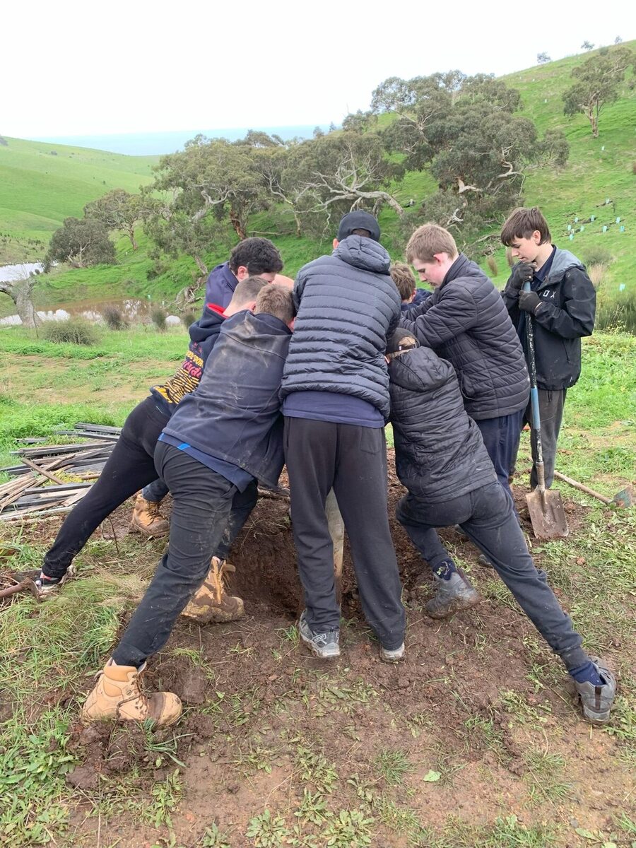 The power of collaboration and collective purpose