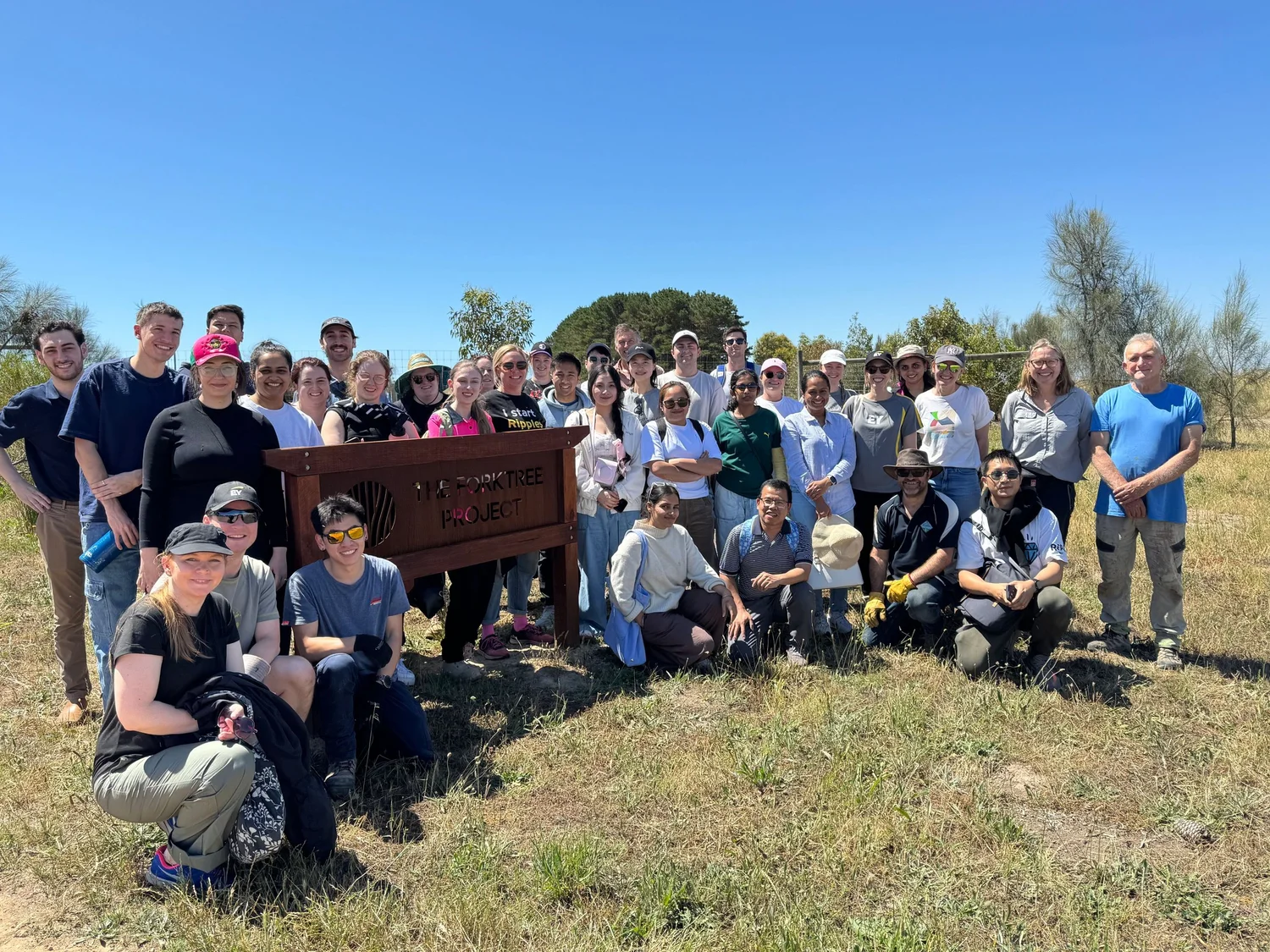 The Power of Team Days at The Forktree Project