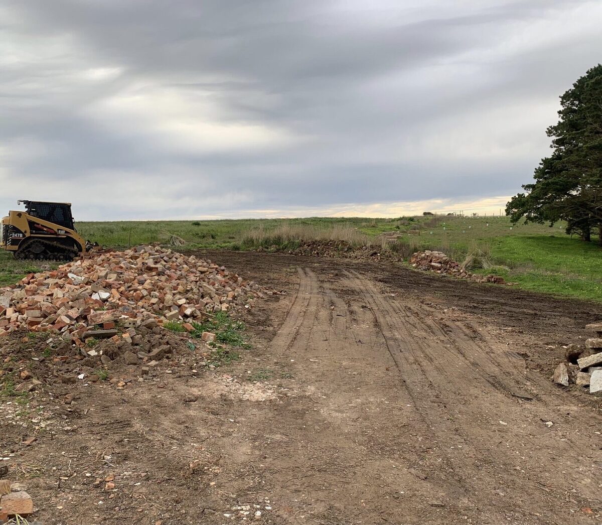 Three men and a bobcat