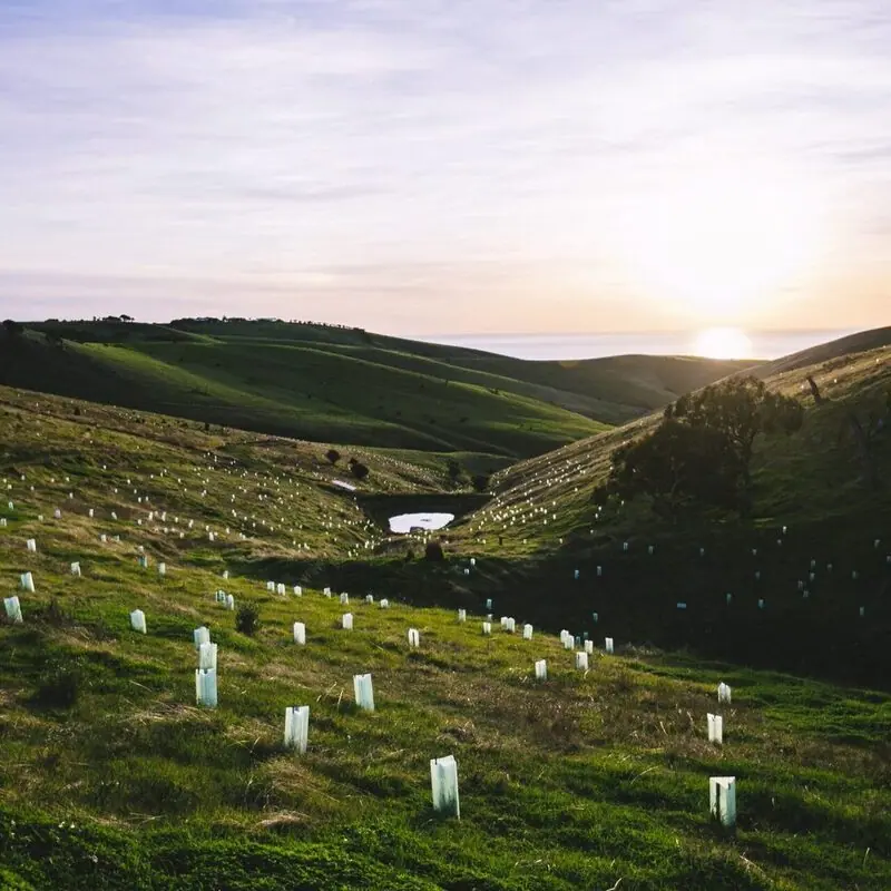 BEACONS OF HOPE