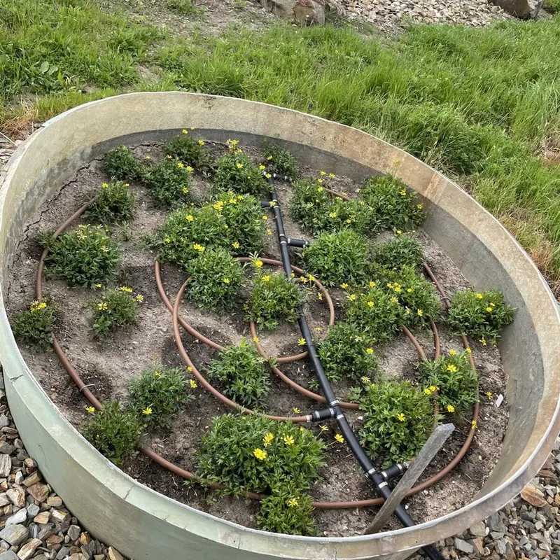 creative design - from tanks to beds