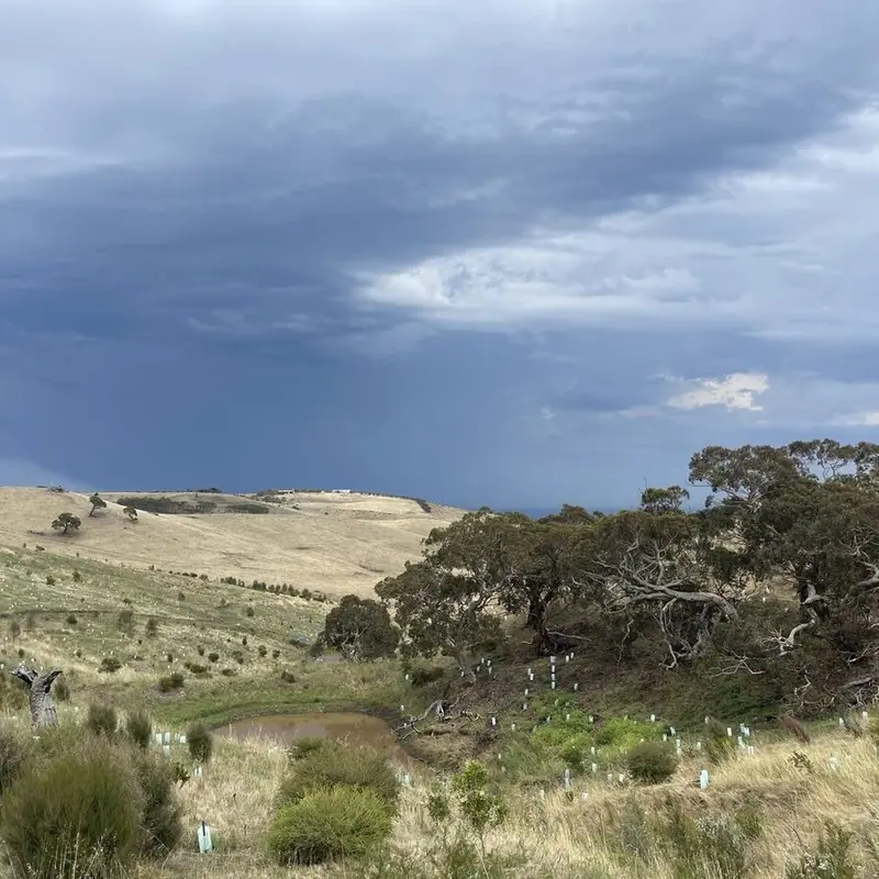 "Ecological Makeover" - Yankalilla regional news