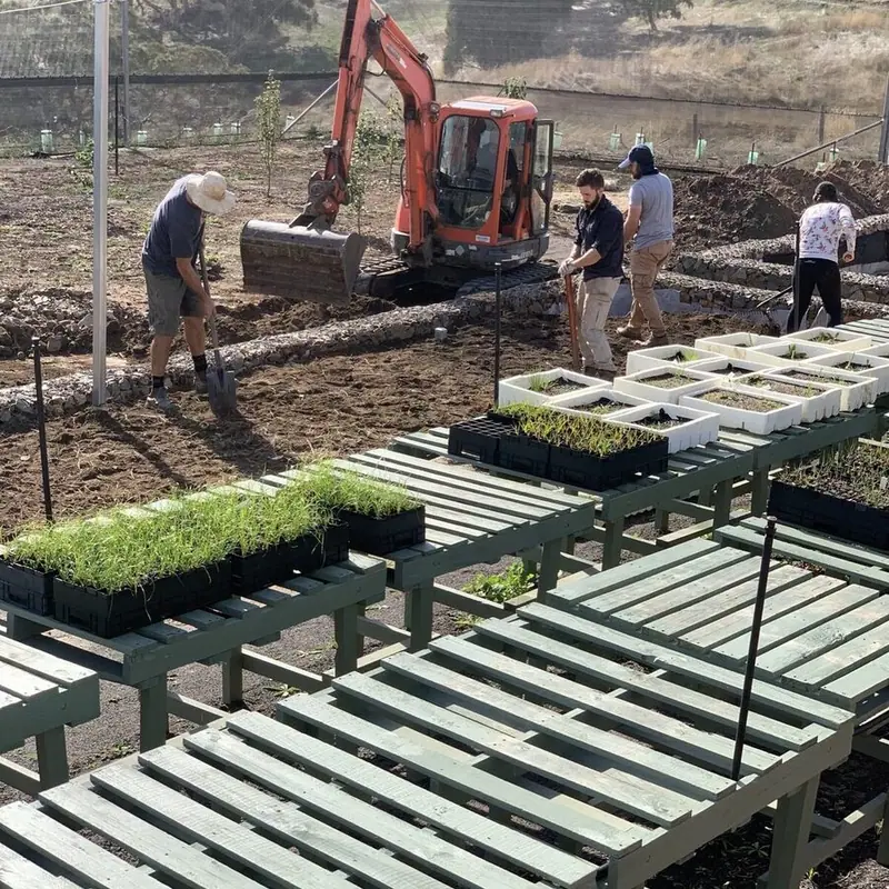 excavators,spades and rakes