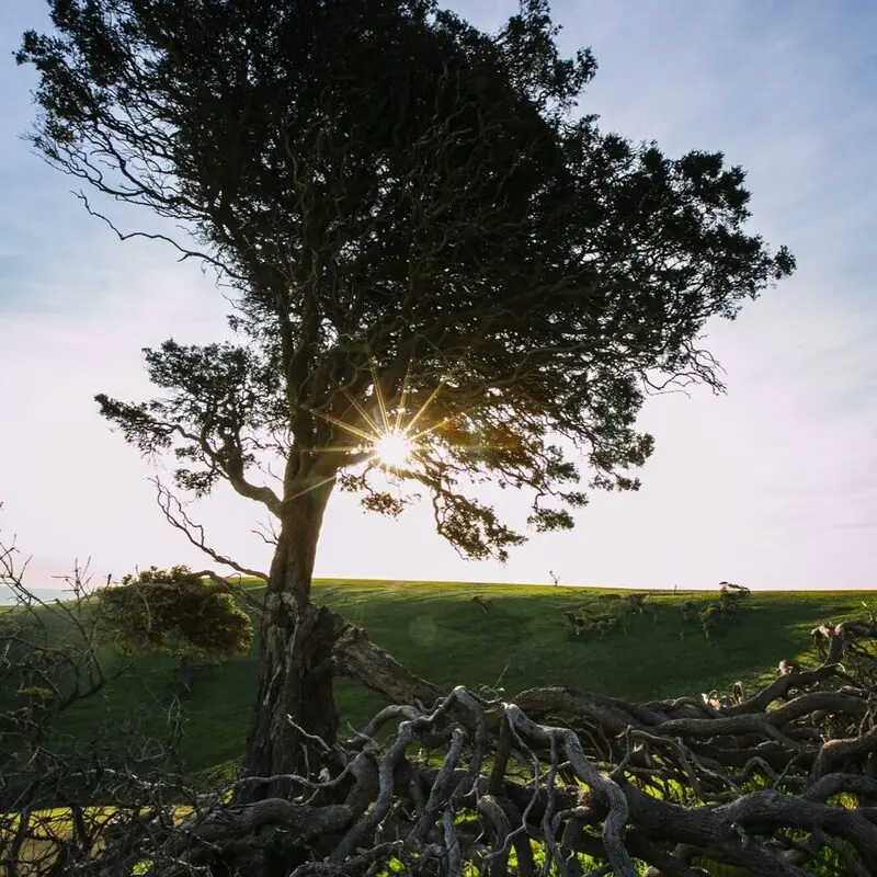 FORKTREE PROJECT GRANTED CHARITY STATUS