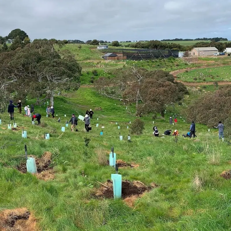 FRIENDS of forktree planting day for national tree day