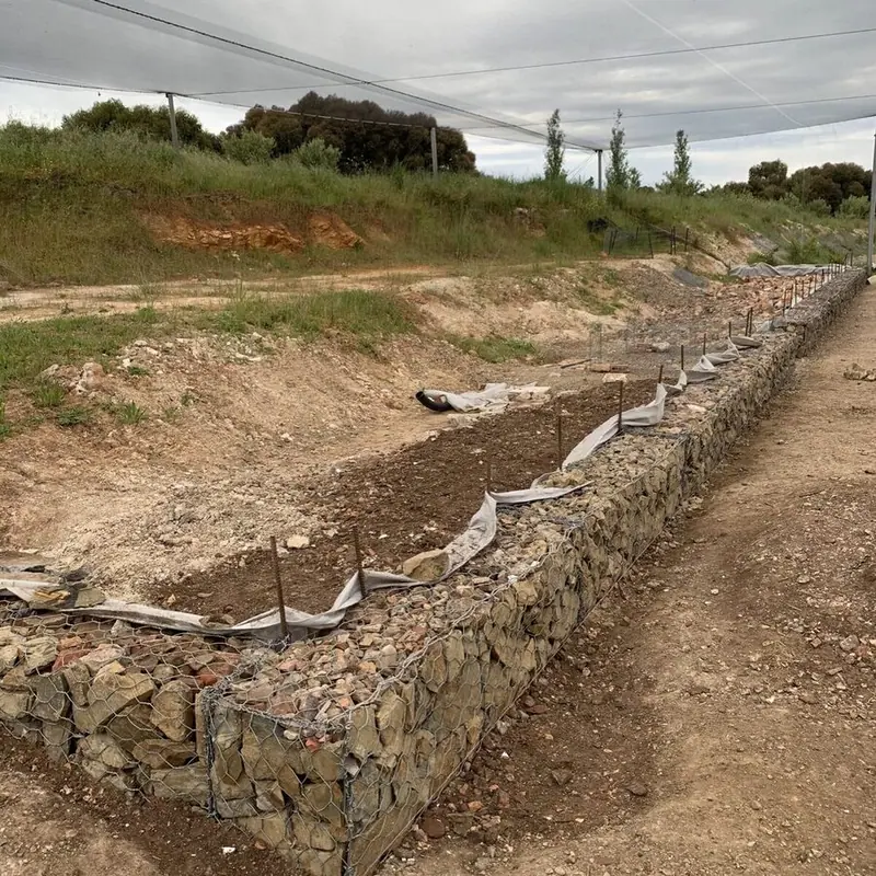 Laying the foundations