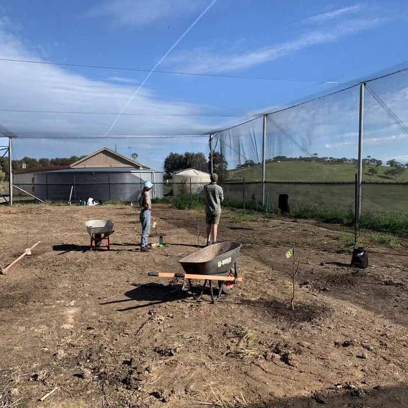 NURSERY TAKING SHAPE