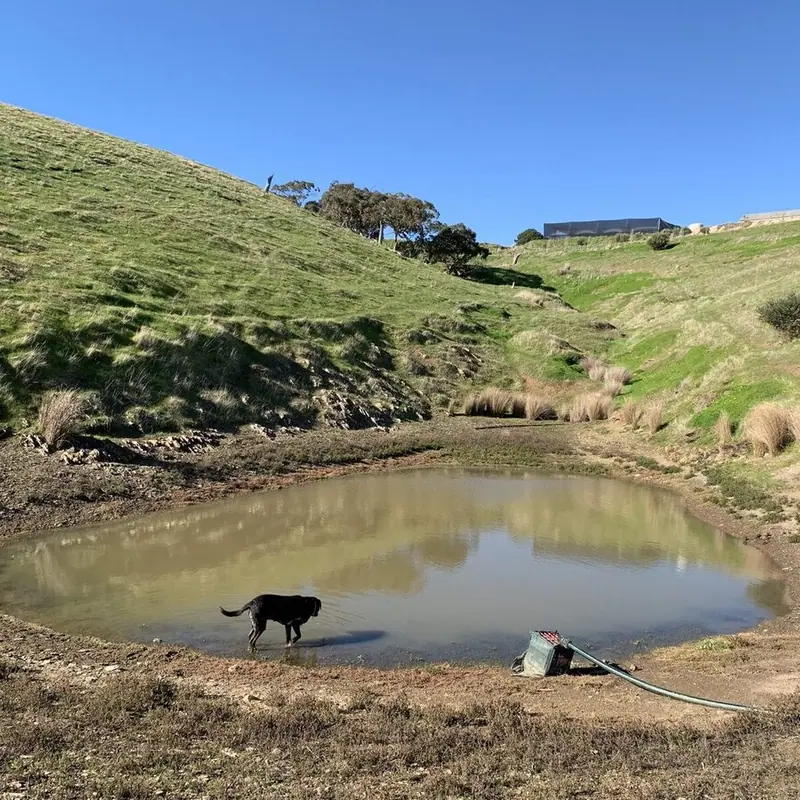 PREPARING TO PLANT THE FIRST GULLY