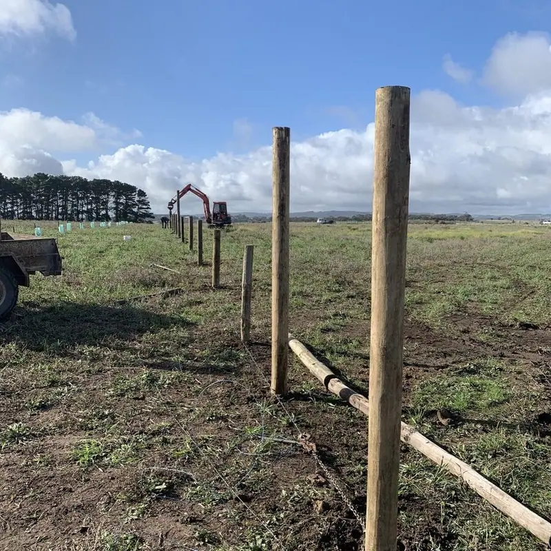 Seed orchard set up