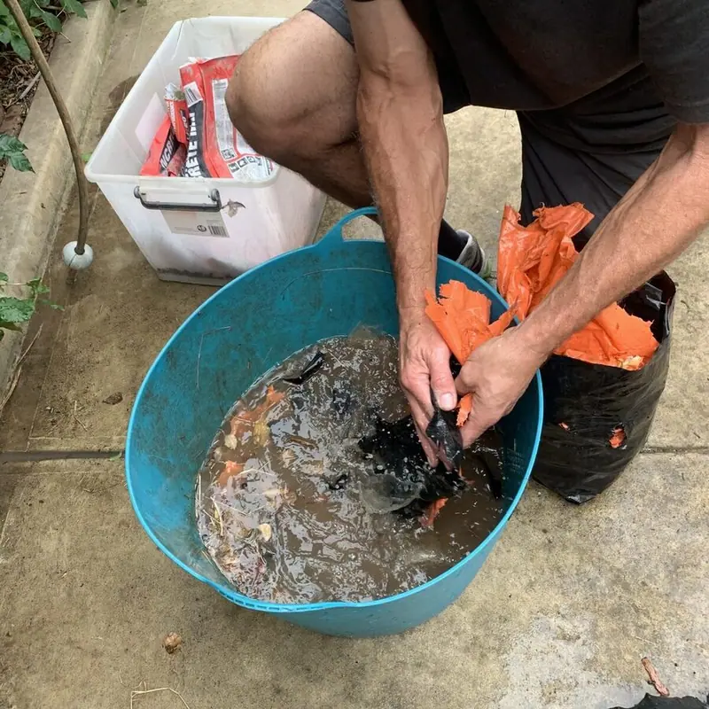 PURGE ON PLASTICS