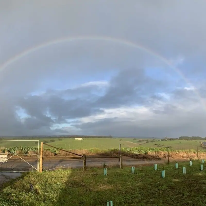 Rainbow magic returns