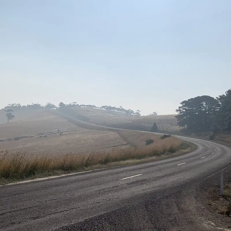 REFLECTIONS ON THE BUSHFIRES