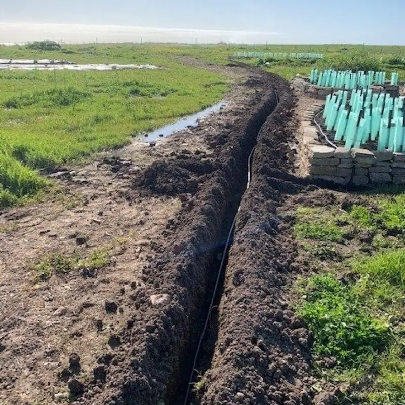 Seed orchard reticulation