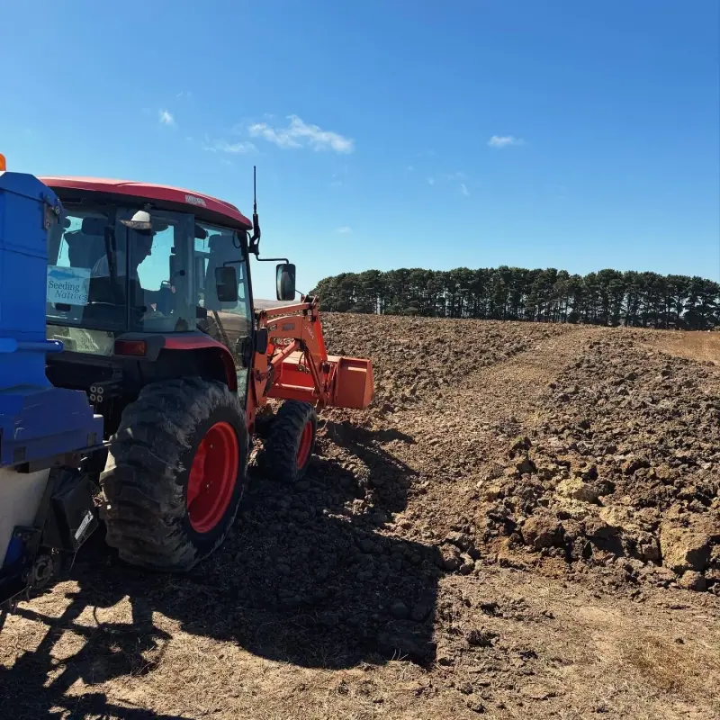 Seeding Frenzy