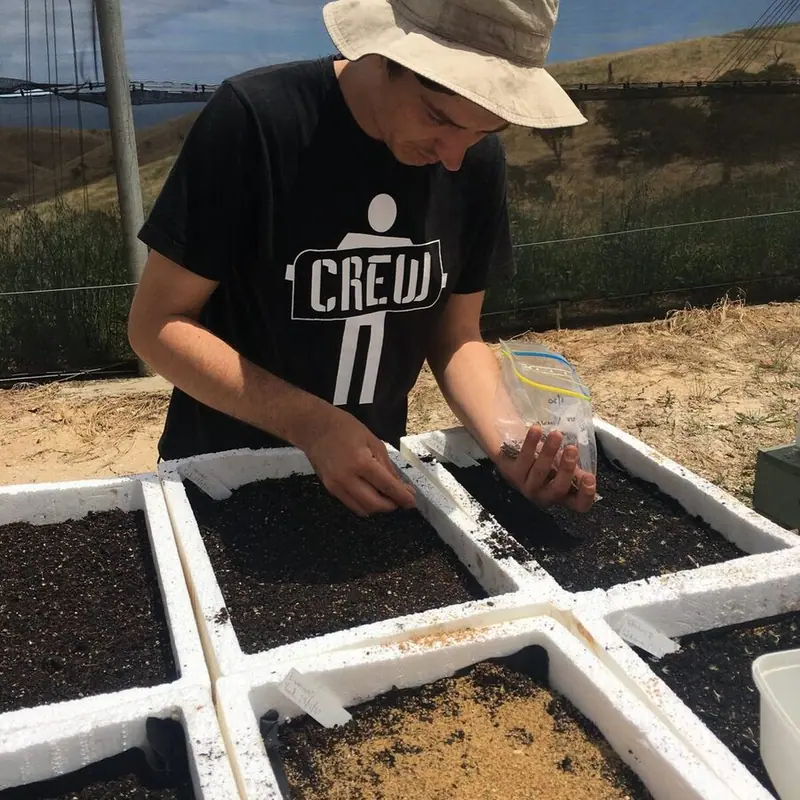 sowing seed