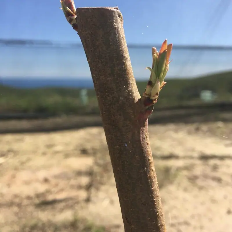 Spring has sprung...