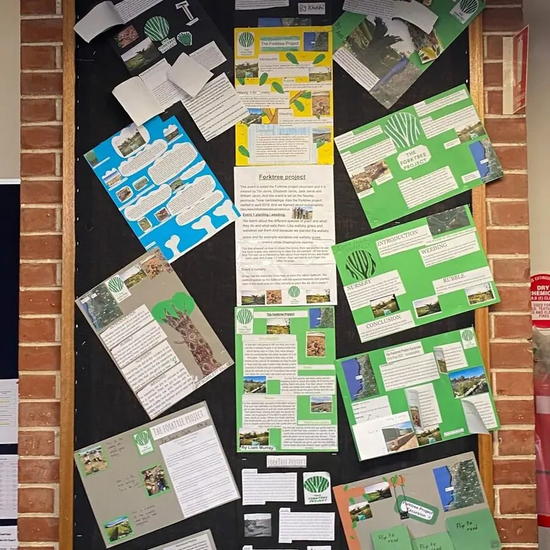 student feedback