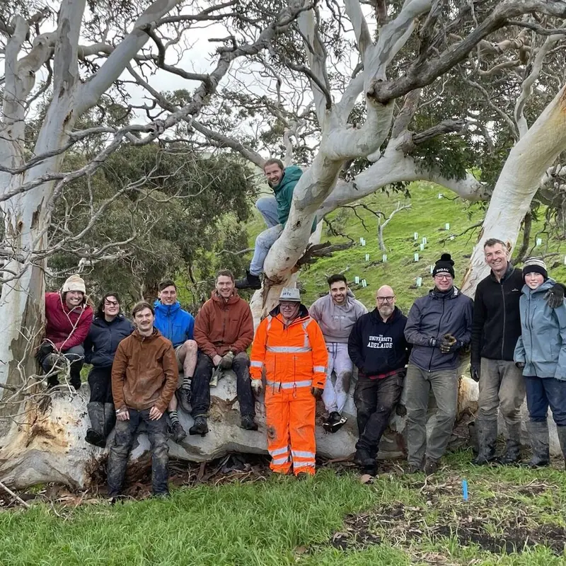 SYSTEMS Thinking at The forktree project
