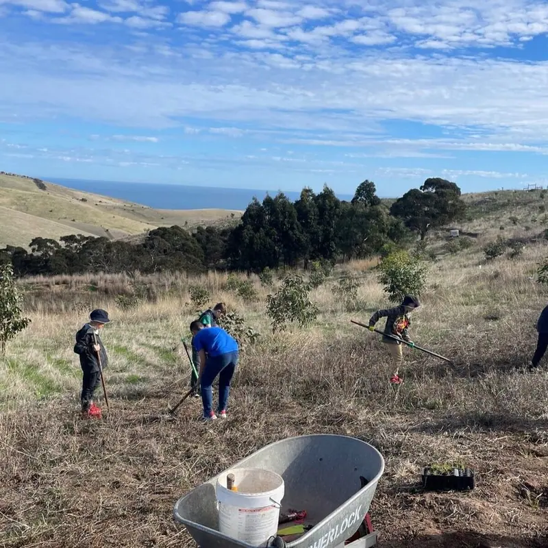 school planting season round up