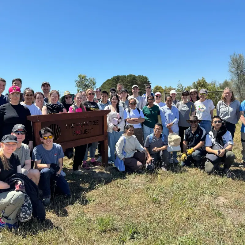 The Power of Team Days at The Forktree Project