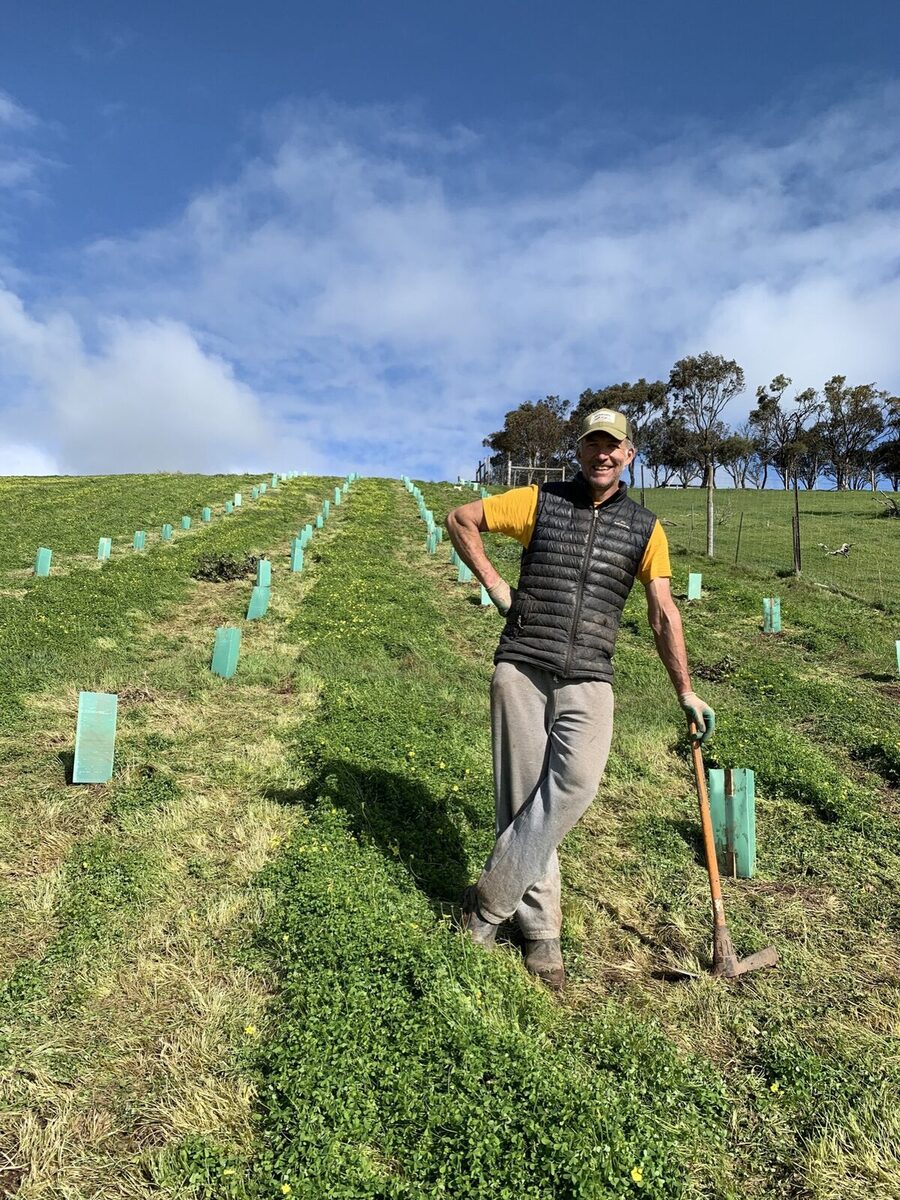 WESTERN WINDBREAK COMPLETED