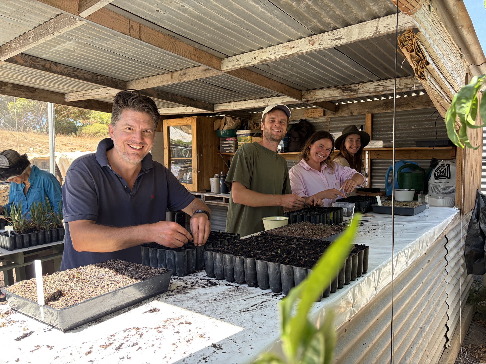 Nursery team potting seedlings at The Forktree Project